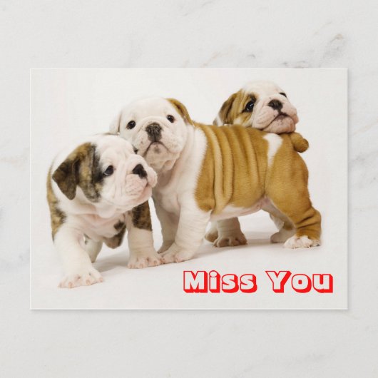 Miss You Bulldog Puppy Dog Greeting Briefkaart (Voorkant)