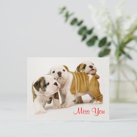 Miss You Bulldog Puppy Dogs Greeting Briefkaart (Staand voorkant)