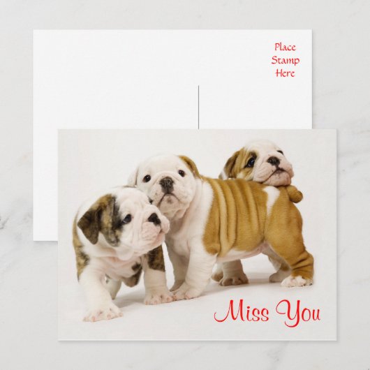 Miss You Bulldog Puppy Dogs Greeting Briefkaart (Voorkant / Achterkant)