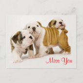 Miss You Bulldog Puppy Dogs Greeting Briefkaart (Voorkant)