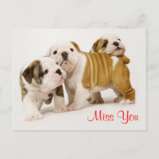 Miss You Bulldog Puppy Dogs Greeting Briefkaart (Voorkant)