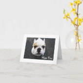 Miss You Bulldog Wenskaart - Verse Kaart (Gele Bloem)