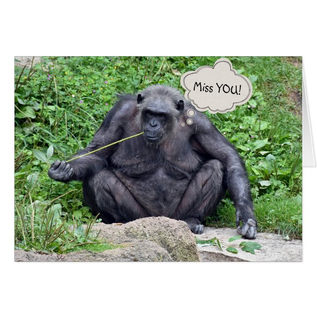 Miss You Chimpansee (Voorkant Horizontaal)