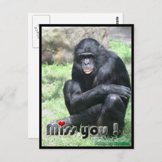 Miss you chimpansee briefkaart (Voorkant / Achterkant)