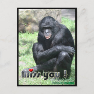 Miss you chimpansee briefkaart