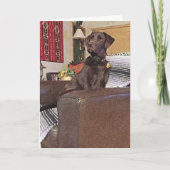 Miss You Chocolate Labrador Retriever op voorzitte Kaart (Voorkant)