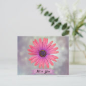 Miss You  Daisy Flower Petals Briefkaart (Staand voorkant)