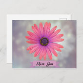 Miss You  Daisy Flower Petals Briefkaart (Voorkant / Achterkant)