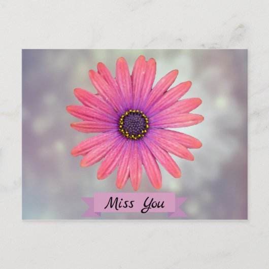 Miss You  Daisy Flower Petals Briefkaart (Voorkant)