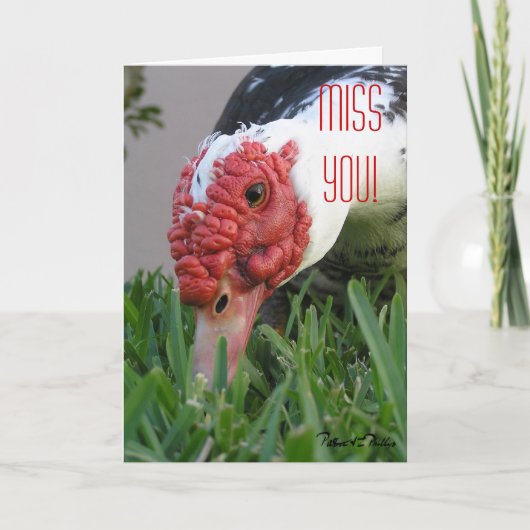 Miss You Eye of the Duck Close-up Photo Template Kaart (Voorkant)