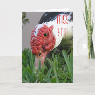 Miss You Eye of the Duck Close-up Photo Template Kaart