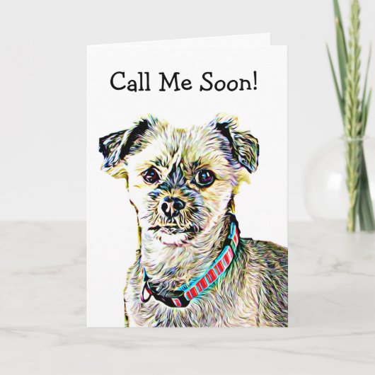 Miss You, Funny Shitzu Dog Kaart (Voorkant)