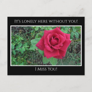 Miss You, het is eenzaam hier Red Rose met regendr Briefkaart