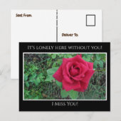 Miss You, het is eenzaam hier Red Rose met regendr Briefkaart (Voorkant / Achterkant)