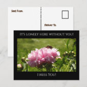 Miss You, het is eenzaam hier Roze pony's Briefkaart (Voorkant / Achterkant)