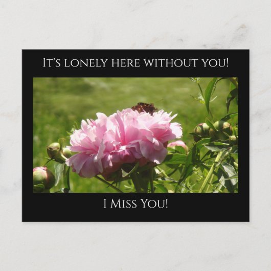 Miss You, het is eenzaam hier Roze pony's Briefkaart (Voorkant)