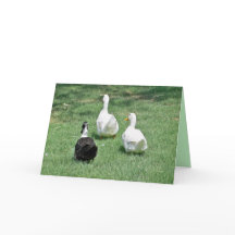 Miss You Kaart - Verloren