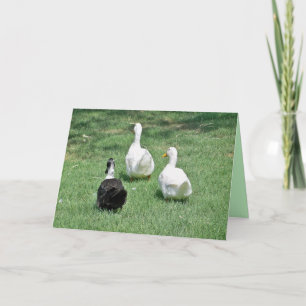 Miss You Kaart - Verloren