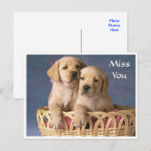 Miss You Labrador Retriever Puppy Post Card Briefkaart (Voorkant / Achterkant)