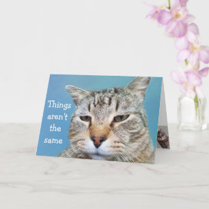 Miss You Lonely Cat Kaart