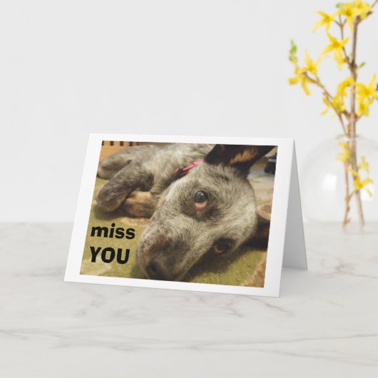 MISS YOU OP JE VERJAARDAG ZEGT TRIESTE VEEHOND KAART (Gele Bloem)