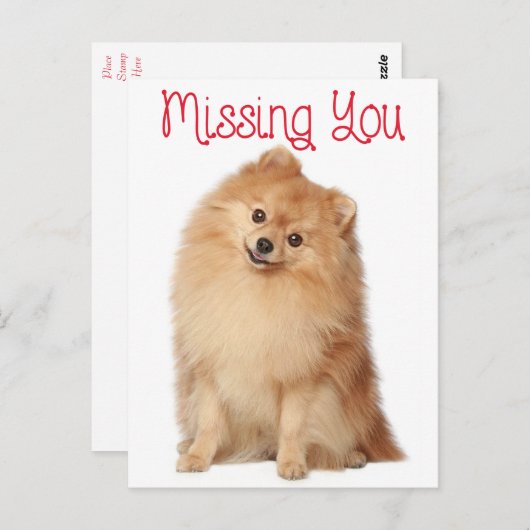 Miss You Pomeranian Puppy Dog Greeting Briefkaart (Voorkant / Achterkant)