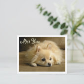 Miss You Pomeranian Puppy Dog Greeting Briefkaart (Staand voorkant)