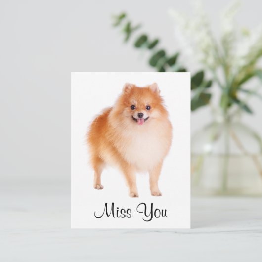 Miss You Pomeranian Puppy Dog Greeting Briefkaart (Staand voorkant)
