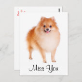 Miss You Pomeranian Puppy Dog Greeting Briefkaart (Voorkant / Achterkant)