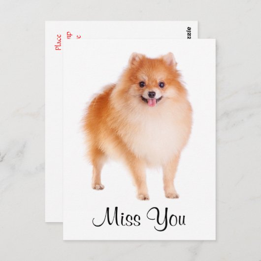 Miss You Pomeranian Puppy Dog Greeting Briefkaart (Voorkant / Achterkant)