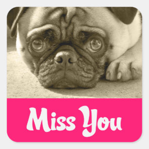 Miss You Pug Puppy Dog Groet Stickers