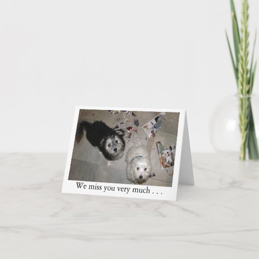 Miss You Puppies Kaart (Voorkant)
