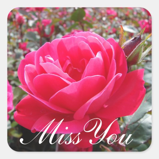 Miss You Romantische Roze Roze Stickers (Voorkant)