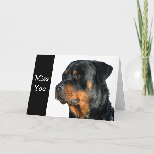 Miss You Rottweiler Dog Wenskaart - Verse Kaart (Voorkant)