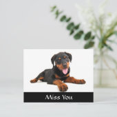Miss You Rottweiler Puppy Dog Greeting Briefkaart (Staand voorkant)