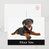 Miss You Rottweiler Puppy Dog Greeting Briefkaart (Voorkant / Achterkant)