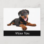 Miss You Rottweiler Puppy Dog Greeting Briefkaart (Voorkant)