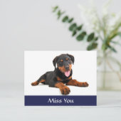 Miss You Rottweiler Puppy Dog Greeting Briefkaart (Staand voorkant)