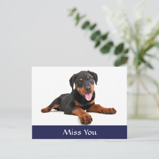 Miss You Rottweiler Puppy Dog Greeting Briefkaart (Staand voorkant)