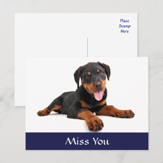 Miss You Rottweiler Puppy Dog Greeting Briefkaart (Voorkant / Achterkant)