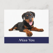 Miss You Rottweiler Puppy Dog Greeting Briefkaart (Voorkant)