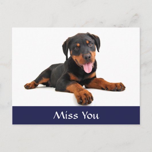 Miss You Rottweiler Puppy Dog Greeting Briefkaart (Voorkant)