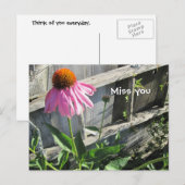 Miss you roze Daisy Briefkaart (Voorkant / Achterkant)