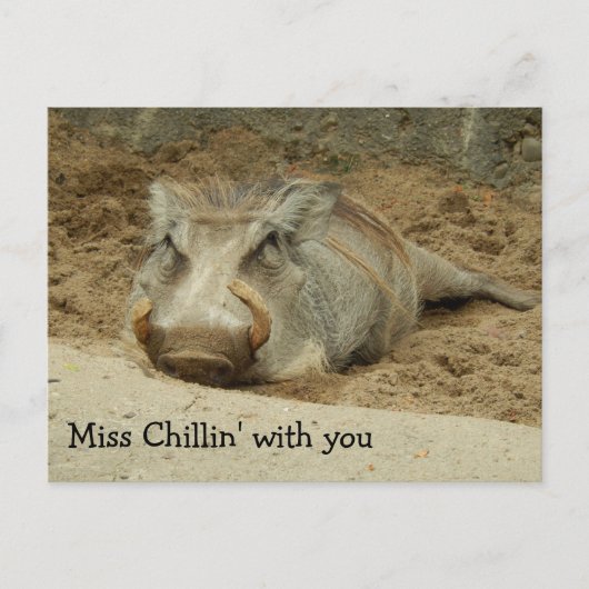 Miss You Wathog Briefkaart (Voorkant)