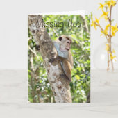 Miss You Wenskaart Kaart (Gele Bloem)