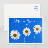 Miss You White Daisy Floral Greeting Briefkaart (Voorkant / Achterkant)