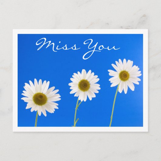 Miss You White Daisy Floral Greeting Briefkaart (Voorkant)