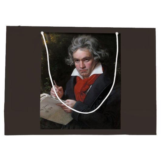 Missa Solemnis: Ludwig Beethoven Klassieke Muziek Groot Cadeauzakje (Achterkant)