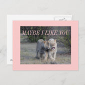 misschien briefkaart (Voorkant / Achterkant)