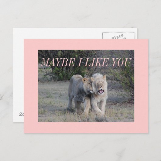 misschien briefkaart (Voorkant / Achterkant)